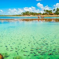Porto de galinhas - IPOJUCA/PE