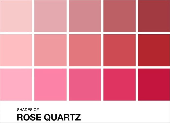 Paleta de cores