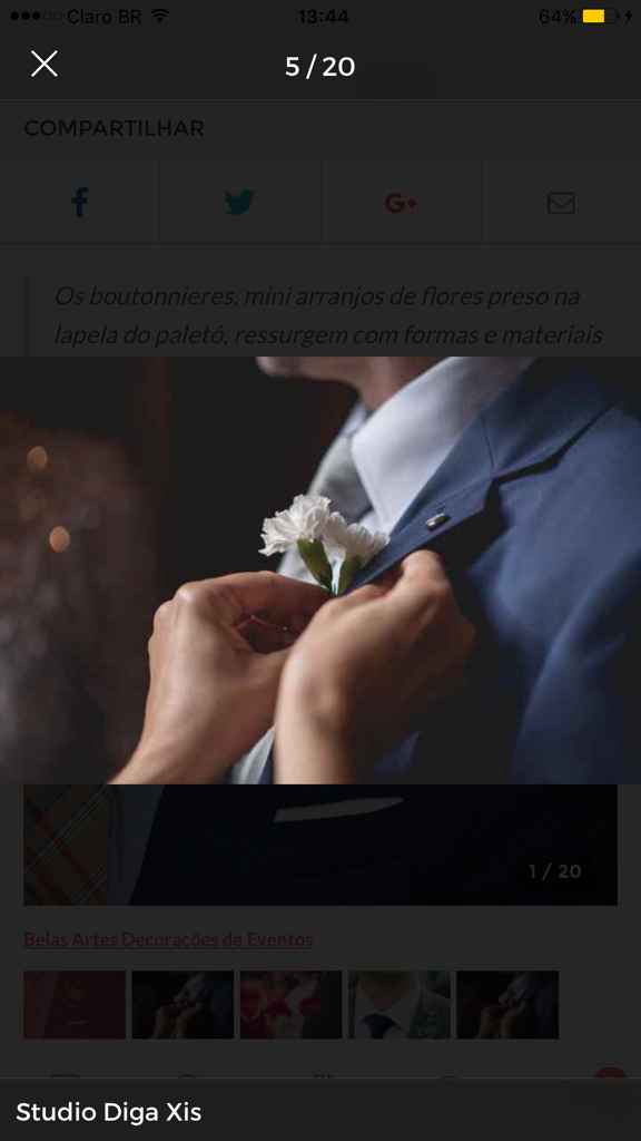 Flor de lapela - 2