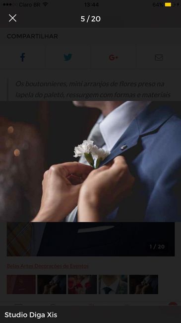 Flor de lapela - 2