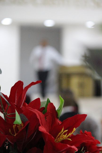 Frustração com fotografo. 6
