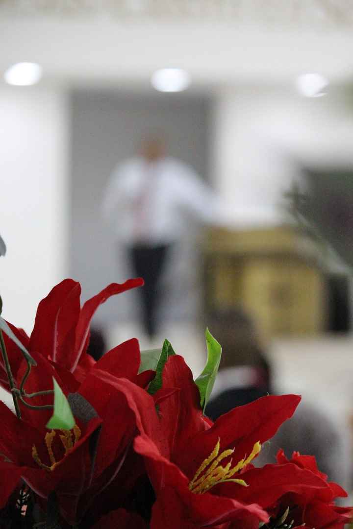 Frustração com fotografo. - 2