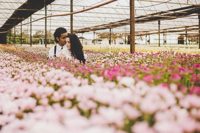 estufa de flores