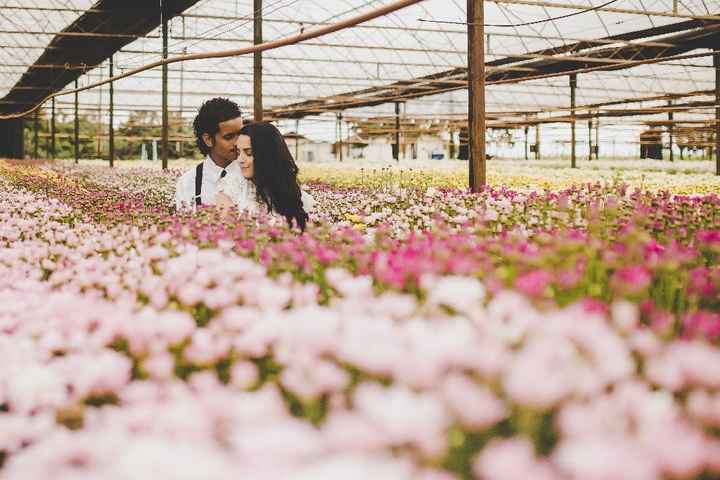 estufa de flores