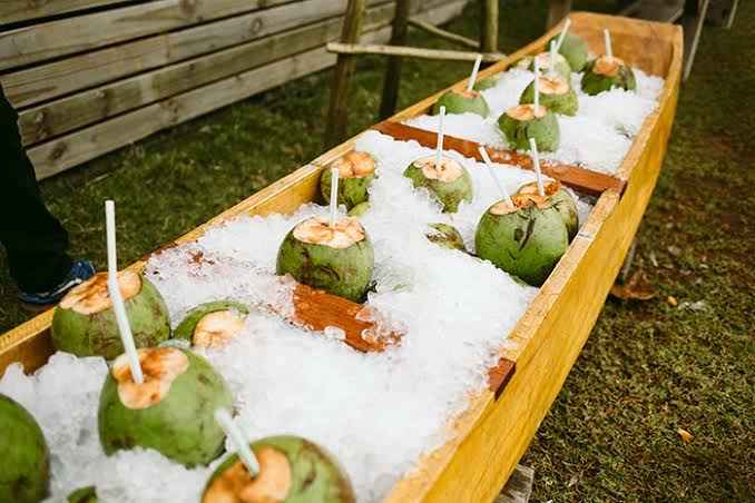 Canoa de coco - 1