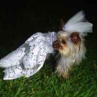 Penélope 
