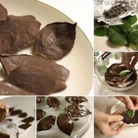 Faça você mesma - coisas para comer - 8