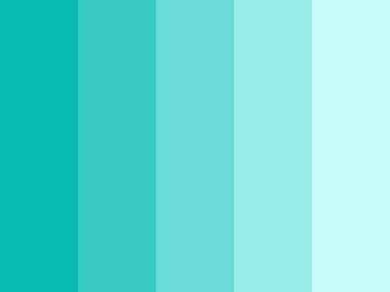 Paleta - 1