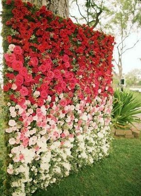 Muro de flores; 2