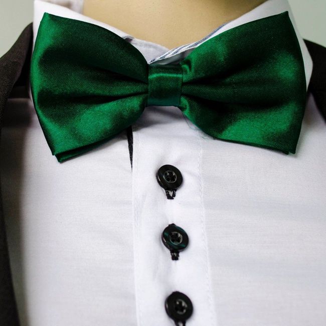 Posso colocar os padrinho de gravata verde escuro e as madrinhas de vestido verde claro? 1