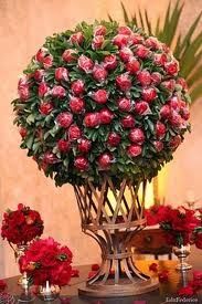 Árvore de Maçã do Amor