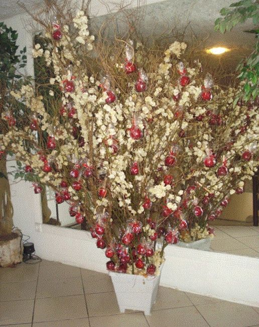 árvore de maçã do amor 1