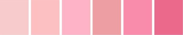Paleta rosa 