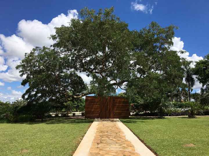 Porta da entrada, com essa arvore linda. 