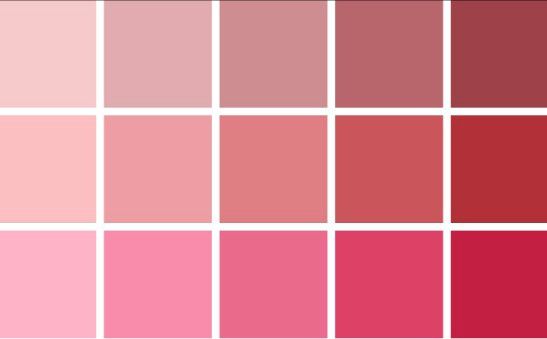 Paleta de cores madrinhas