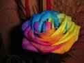arco iris
