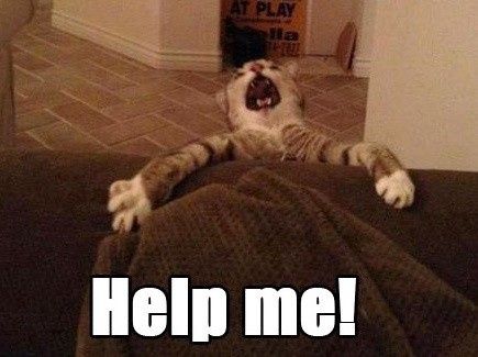 Help me!