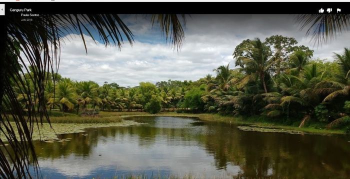 Tem dois lagos lá dentro, tem um que tem uma mini ilha hehe