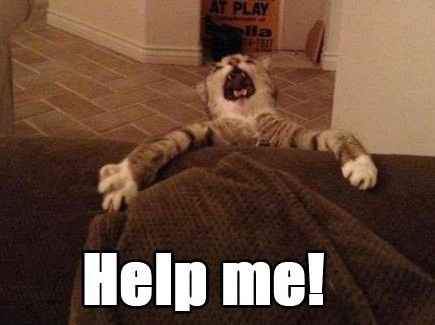 Help me!