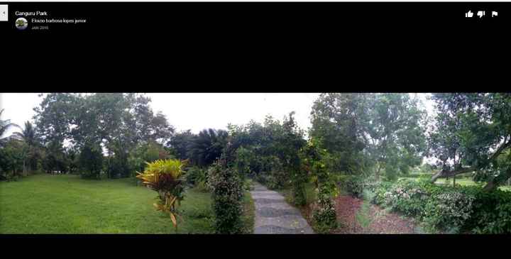 Essa é a entrada, da porta até o salão tem esses arcos de flores naturais, mas hoje em dia estão bem