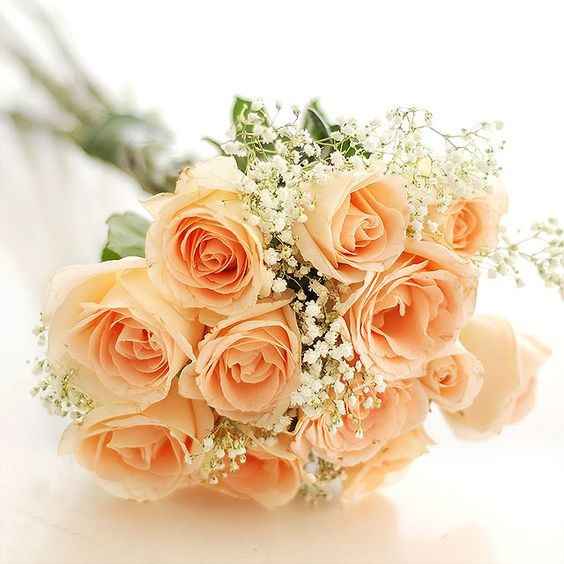 inspirações de bouquet