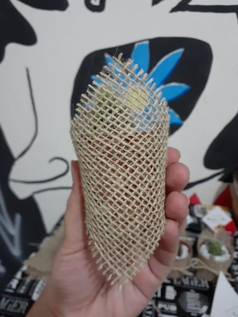 Lembrancinhas diy - Mini Cactos e Suculentas 5