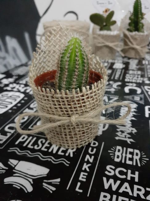 Lembrancinhas diy - Mini Cactos e Suculentas 11