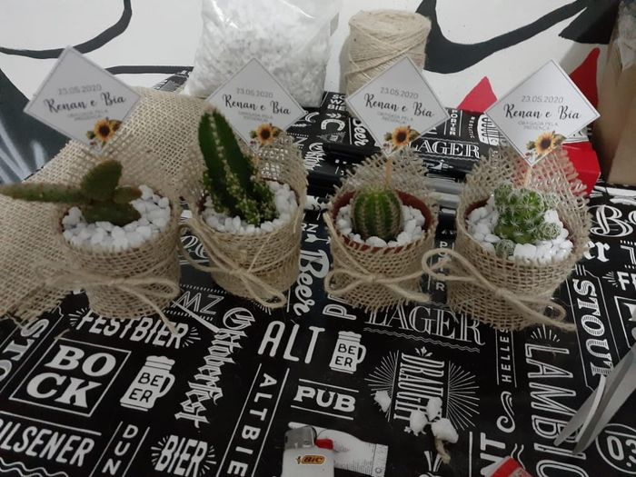 Lembrancinhas diy - Mini Cactos e Suculentas 16