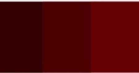 Paleta de cores marsala