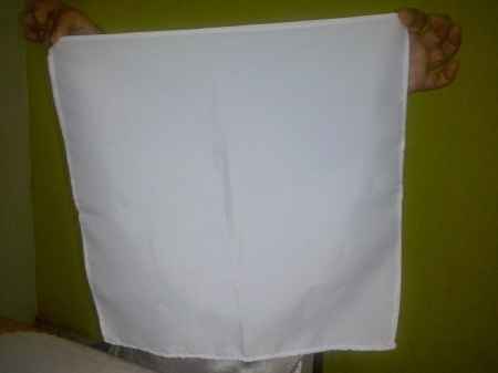 o guardanapo