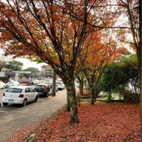 Dúvida sobre lugares para lua de mel - 1