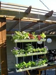 Planta em Calha