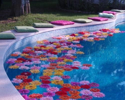Decoração para piscina