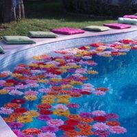 Decoração para piscina