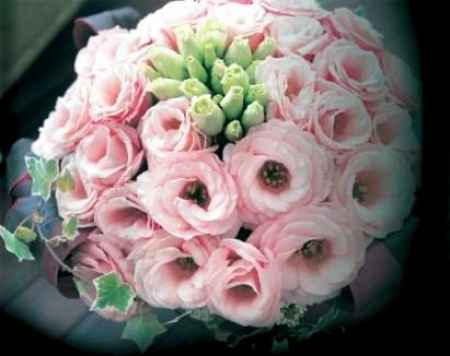 Lisianthus