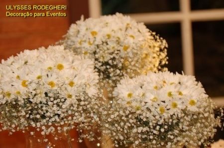 Flores para decoração 