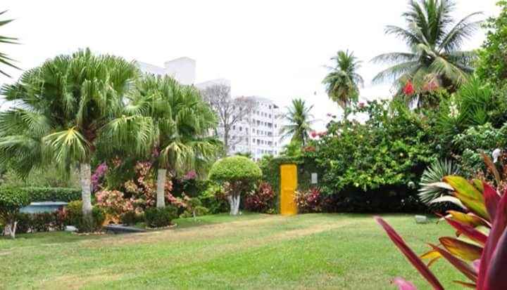 Espaço casa 5 em salvador, conhece ? - 5