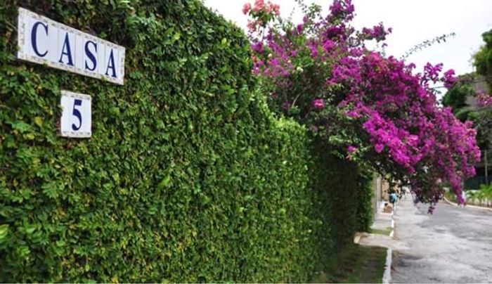 Espaço casa 5 em salvador, conhece ? - 6