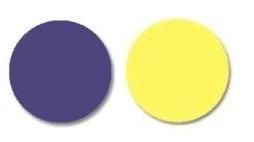 Paleta de cor- Roxo e amarelo
