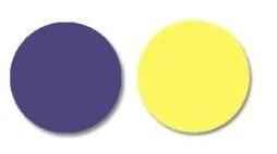 Paleta de cor- Roxo e amarelo