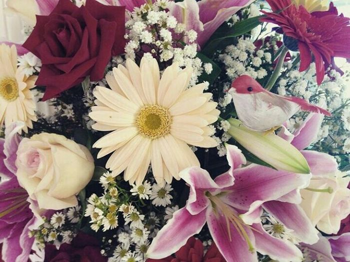 Coisas que já escolhi pro casamento - 9