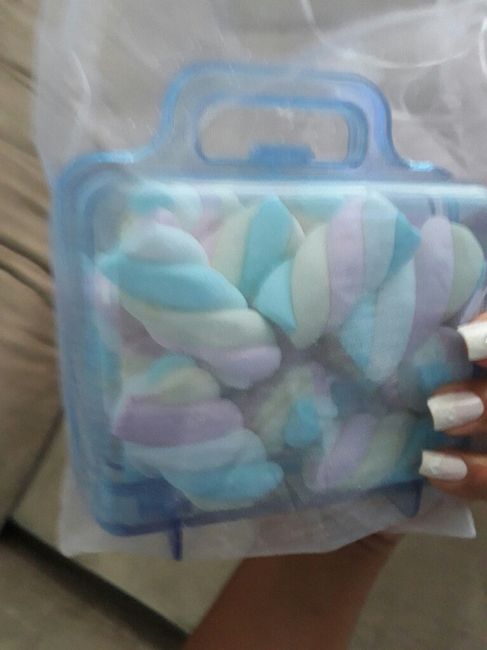  Minhas Lembrancinhas  #vemver - 5