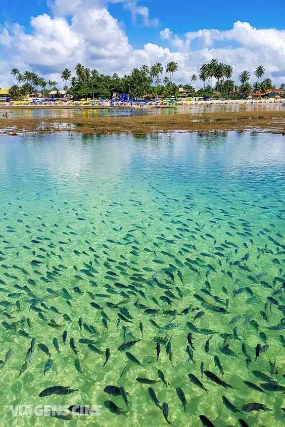 Piscinas Naturais 