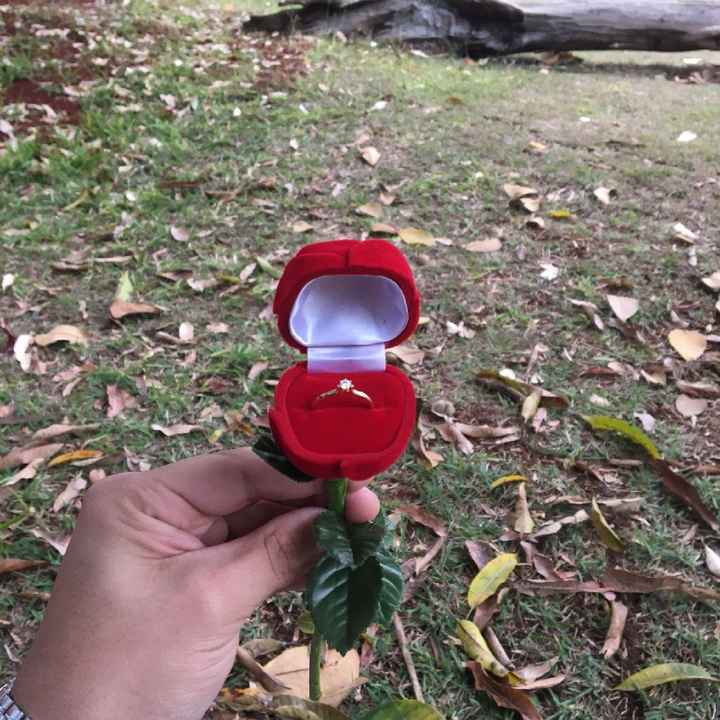 Pedido de casamento 💒 - 2