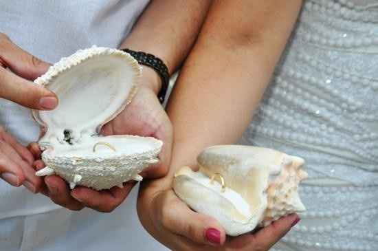 3. Concha