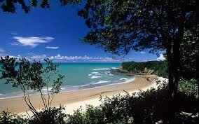 6. NATAL