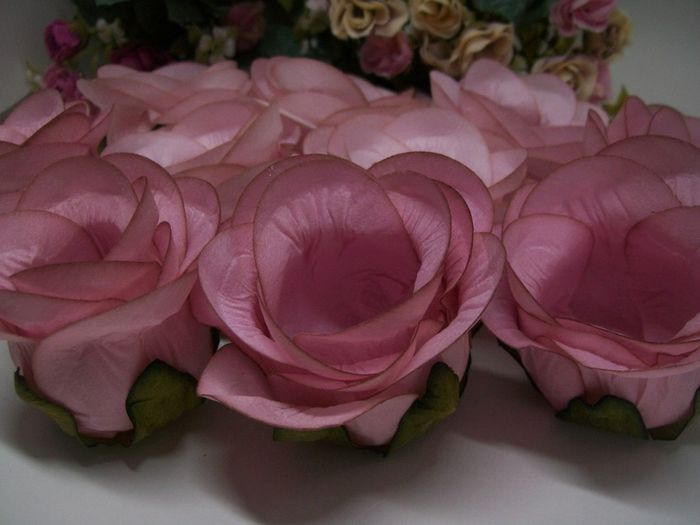 Forminhas 6