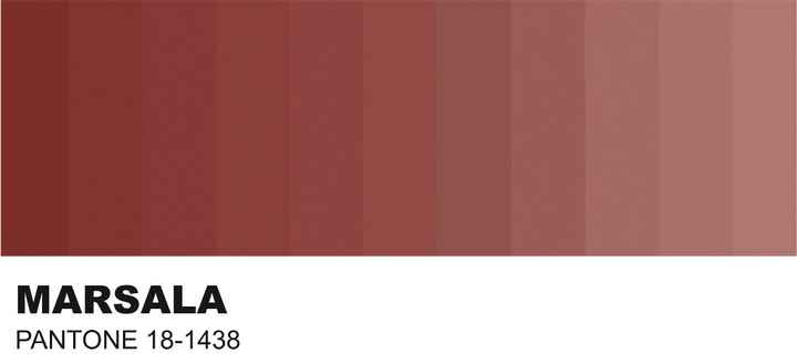 Paleta de Cores