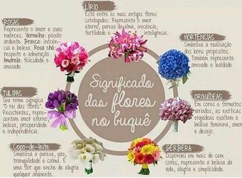 Dica - significado de flores
