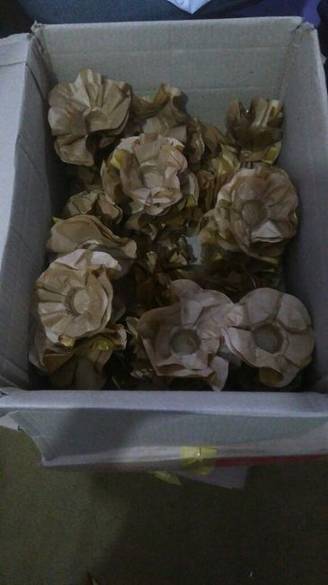  Ansiedadeeee - 1